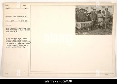 Bildunterschrift: "Kapitän C.Bets, Sig. Corps, Lieut.R.Fraumont vom französischen Hochkommissariat und Fähnrich J.J. McAttee, Marineoffizier, die sich darauf vorbereiten, 1200 Tauben für ein zukünftiges Rennen von Washington D.C. nach New York City im Jahr 1918 freizulassen. Foto aufgenommen am 29. September 1918 von CPL. Palumbo." Stockfoto