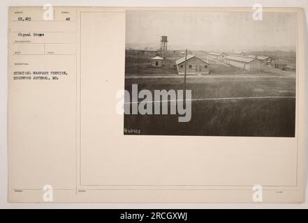 Soldaten des Chemiekriegsdienstes im Edgewood Arsenal in Maryland während des 1. Weltkriegs Dieses Foto ist Teil der Signalkorps-Sammlung mit der Beschreibung "TAKES ISSUED: SYMBOL aut CHEMICAL WARFARE SERVICE" und der Anmerkung "60403". Stockfoto