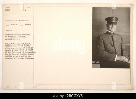 Oberst A.E. Williams, Quartermaster Corps, wird hier in einem Porträt dargestellt, das am 6. September 1919 in Washington, D.C. aufgenommen wurde Er war Staff Officer in der Abteilung Einkauf, Lagerung und Verkehr im Ersten Weltkrieg Colonel Williams war 16 Monate lang in Montoir Deport Deutschland stationiert und diente als Stabschef der 3. Besatzungsarmee. Er ist seit dem 1. August 1919 in Washington als Assistent des Director of Purchase & Storage tätig. Ein Foto von Sergeant S.C. Bonner. Stockfoto