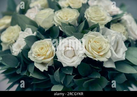 Weiße Rosen, auf unscharfem Hintergrund. Blumenstrauß, Blumenstrauß. Es kann für Einladungen, Grüße, Hochzeitskarten verwendet werden. Hochwertiges Foto Stockfoto