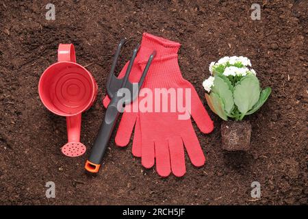 Verschiedene Gartengeräte und Pflanzen im Garten Stockfoto