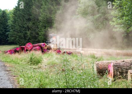Traktor auf einem Holzeinschlagsgelände im Wald: Bekämpfung des Befalls von Monokulturfichte durch Rindenkäfer. Tschechische Republik, Europa. Stockfoto
