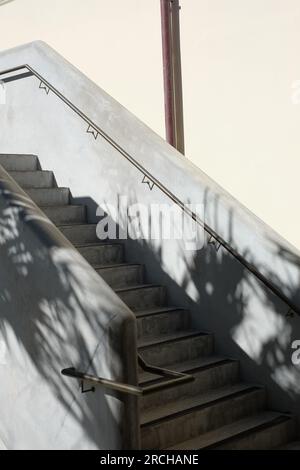 Betontreppe und Balustrade, Details der Renovierung des Bondi Surf Pavillons und Upgrade weich durch Palmenschatten Stockfoto