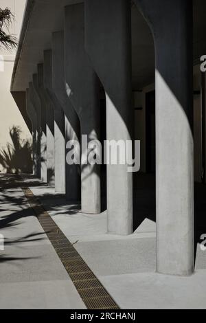 Gussbetondetails der Renovierung des Bondi Surf Pavillons und Aufwertung durch Palmenschatten Stockfoto