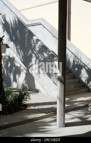 Treppe aus Beton, Details der Renovierung des Bondi Surf Pavilion und Verbesserung durch Palmenschatten Stockfoto