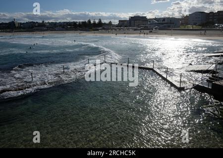 Am Nachmittag surfen Sie in North Bondi, mit Blick über den North Bondi Ocean Pool zurück zum berühmten Strand, Sydney, New South Wales, Australien Stockfoto