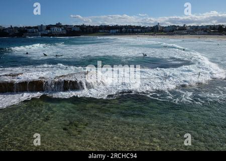 Am Nachmittag surfen Sie im Norden von Bondi mit Blick auf den North Bondi Ocean Pool zurück zum berühmten Strand. Stockfoto