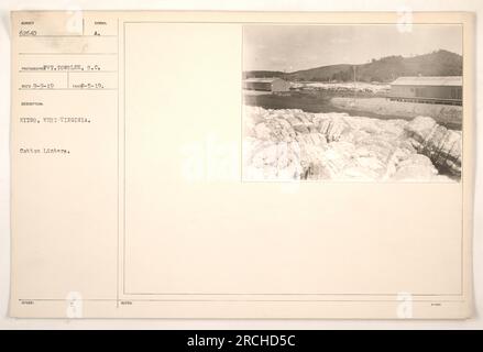 Dieses Foto zeigt Baumwoll-Linters aus Nitro, West Virginia, während des Ersten Weltkriegs. Es wurde vom Fotografen Tows Lee am 9. September 1919 aufgenommen. Die Abbildung zeigt die gebrauchsfertigen Baumwoll-Linters, die sich stapeln. Die Baumwoll-Linters wurden wahrscheinlich während des Krieges zur Herstellung verschiedener Materialien wie Munition oder Kleidung verwendet. Stockfoto