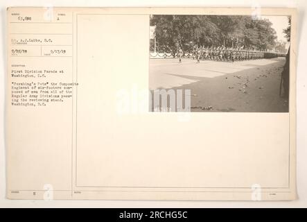 Titel: "Parade der ersten Division in Washington, D.C. Ein Bild von „Pershing's Pets“, dem Composite Regiment aus sechs Footern, bestehend aus Soldaten verschiedener regulärer Armeeabteilungen, die den Prüfstand passieren. Ein Foto von A.J. Lubbe am 17. September 1919, eingegangen unter der Nummer 63.698 mit den Noten 463688." Stockfoto