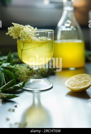 Ein Glas köstlicher Holunderblüten-Zitronenlikör mit frischen Holunderblüten. Vorderansicht Stockfoto