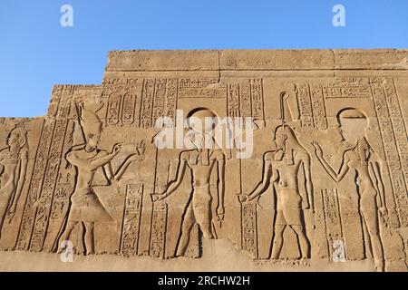 Alte ägyptische Hieroglyphen an den Mauern des Kom Ombo Tempels (Sobek & Horus) in Assuan, Oberägypten Stockfoto