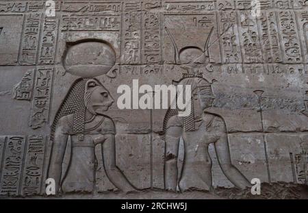 Alte ägyptische Hieroglyphen an den Mauern des Kom Ombo Tempels (Sobek & Horus) in Assuan, Oberägypten Stockfoto