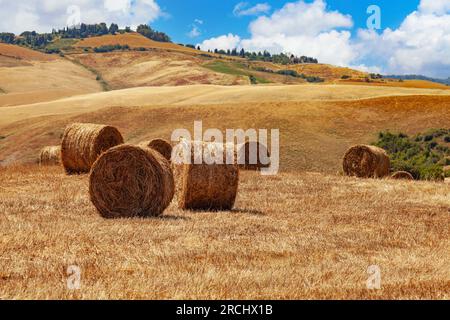 Blick auf die ländliche Landschaft mit üppiger grüner Vegetation und verstreuten Heuballen. Stockfoto