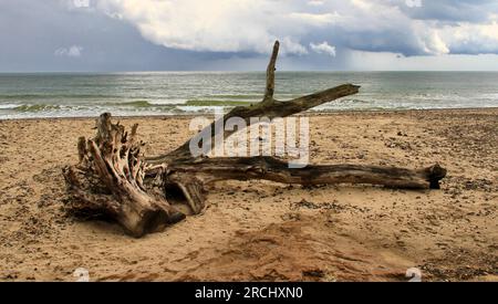 Stürmischer Tag in Covehithe, Suffolk Stockfoto