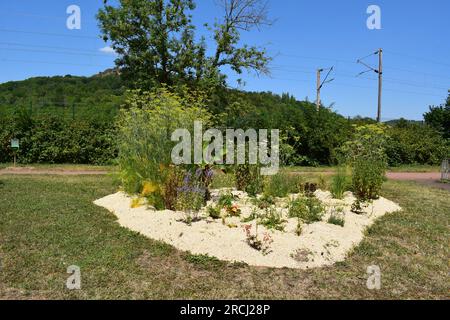 Kleiner Park im Moseltal, Frankreich Stockfoto