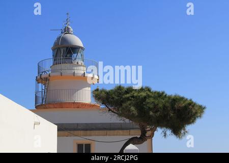 Abril 2023 Oropesa del Mar Stockfoto