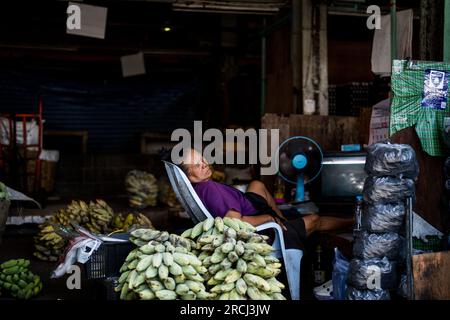 Bangkok, Thailand. 15. Juli 2023. Ein Verkäufer macht ein Nickerchen zwischen Bananenstücken auf einem Frischmarkt in Khlong Toey. Kredit: SOPA Images Limited/Alamy Live News Stockfoto