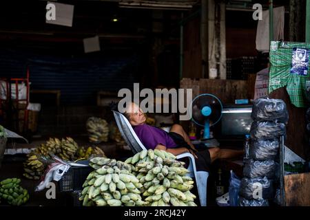 Bangkok, Thailand. 15. Juli 2023. Ein Verkäufer macht ein Nickerchen zwischen Bananenstücken auf einem Frischmarkt in Khlong Toey. (Foto: Matt Hunt/SOPA Images/Sipa USA) Guthaben: SIPA USA/Alamy Live News Stockfoto