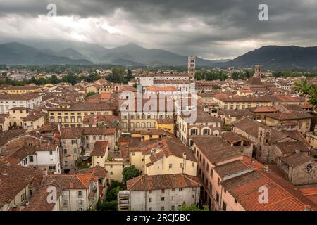 Lucca, Juli 13. 2023: Blick über die Stadt vom Torre Guinigi Stockfoto