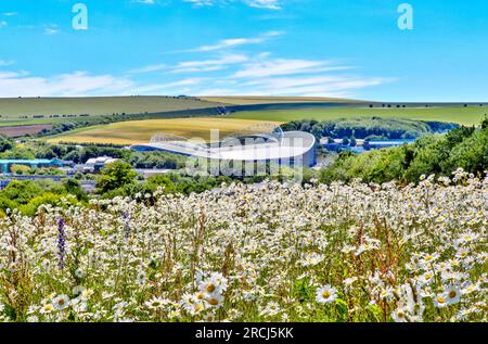 Das American Express Community Stadium in Falmer, in der Nähe von Brighton, East Sussex, Heimstadion des Brighton & Hove Albion FC. Stockfoto