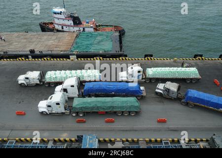 Voll beladene LKWs mit Düngemittelsäcken, die sich dem Pier nähern, um sie manuell von Staudoren zu entladen. Stockfoto