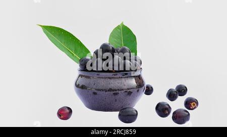 Syzygium cumini in Keramikschüssel auf weißem Hintergrund. Jamun ist eine tropische Sommerfrucht, die auf dem indischen Subkontinent und Südostasien heimisch ist. Stockfoto