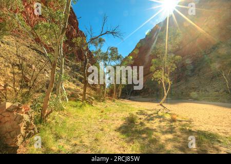 Sonnenstrahlen auf Bush Vegetation mit Eukalyptus- und Gum Tree auf trockenen Flussbett der Simpsons Gap in West MacDonnell National Park, Northern Territory Stockfoto