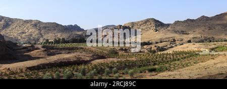 Blick über die Landschaft rund um Wadi Ba'aja in der Nähe von Little Petra, Al-Sharat Gegend von Jordanien, Naher Osten Stockfoto