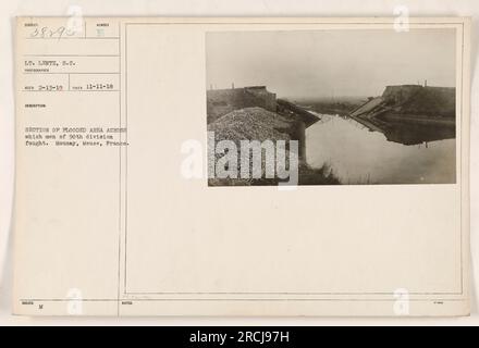 Ein Abschnitt eines überfluteten Gebiets, in dem die Männer der 90. Division im Ersten Weltkrieg kämpften Der Standort ist Mousay, Mause, Frankreich. Das Foto wurde am 11. November 1918 von Lieutenant Lentz, S.C. (Nr. 38895) aufgenommen. Dieses Bild stammt von den Fotos der amerikanischen Militäraktionen im Ersten Weltkrieg Stockfoto