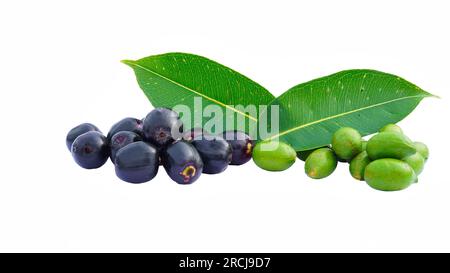 Reife und rohe Bio-Jamun-Früchte auf weißem Hintergrund. Konzept für gesunde grüne Früchte. Stockfoto