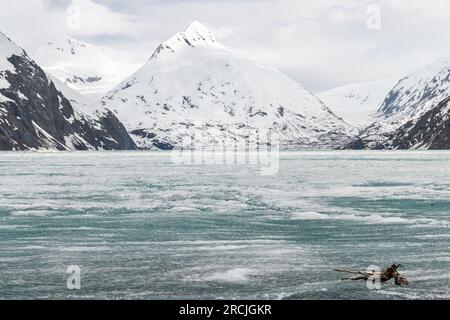 Eisschilde, die den Portage Lake bedecken, vom Begich Boggs Visitor Center mit dem Bard Peak in der Ferne, Alaska, USA Stockfoto