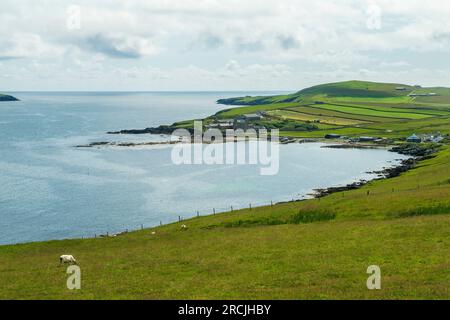Sandwick, Sandsyre und Mousa Dörfer und Inseln auf den Shetland Isles, Schottland. Stockfoto