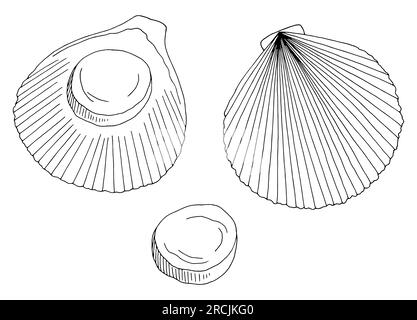 Jakobsmuschel Grafik Schwarzweiß Zeichnungsvektor Stock Vektor