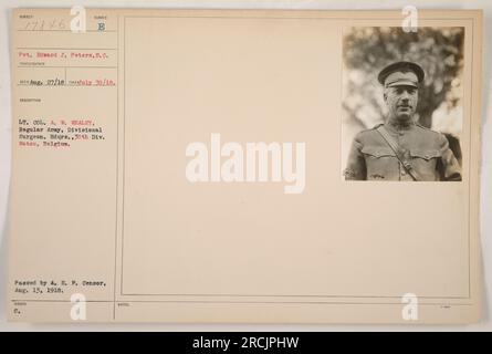 Pvt. Edward J. Peters, S.C., auf diesem Bild aufgenommen, steht neben LT. Oberst A. W. Whaley, einem regulären Armeedivisionalchirurgen der 30. Division. Das Foto wurde am 30. Juli 1918 in Watou (Belgien) aufgenommen. Es wurde offiziell vom A. E. F. Censor am 13. August 1918 genehmigt. Das Bild wird als 17846 gekennzeichnet. Stockfoto