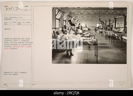 Verwundete Soldaten werden von Krankenschwestern und Ärzten in Station G des American Red Cross Hospital in Liverpool, England betreut. Das Foto wurde am 10. August 1918 aufgenommen. Sie wurde vom A.E.F.-Zensor genehmigt und erhielt die Referenznummer 111-SC-24170. Stockfoto