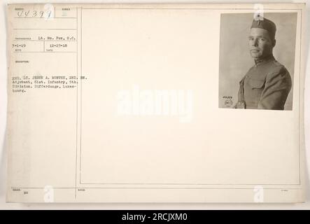 Bild des 2. Leutnant Jesse A. Montee, Adjutant des 2. Bataillons, 61. Infanterie in der 5. Division, befördert zum 1. Leutnant. Die Werbeveranstaltung fand in Differdange, Luxemburg, statt. Foto von Lieutenant M. Fox am 23. Dezember 1918. (SC-44399) Stockfoto