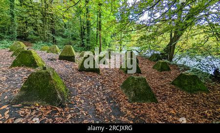 Wey Navigation und Basingstoke Canal die gesamte Route sperrt Kanalboote Radweg Stockfoto