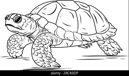 Große Meeresschildkröte, süße gestreifte Fische in der Unterwasserwelt mit Algen, Sand, Blasen auf weißem, isoliertem Hintergrund. Gut für Kinder und Erwachsene Farbtöne Stock Vektor