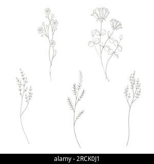 Botanisches Zeichnen. Minimales Pflanzenlogo, Wiesengrün isolierte Linienelemente, Blatt- und blühende Blüten abstrakte Zeichnung, linearer rustikaler Zweig. Vektor, handgezeichnet, Hochzeitseinladungs-Set Stock Vektor