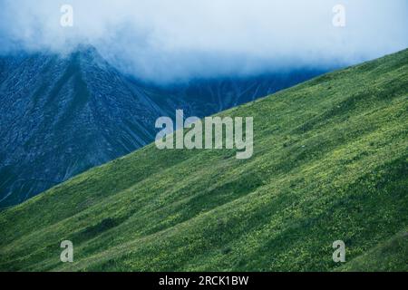 Landschaft rund um die Col of Allos in den Alpes, Frankreich. Stockfoto