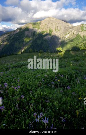 Landschaft rund um die Col of Allos in den Alpes, Frankreich. Stockfoto