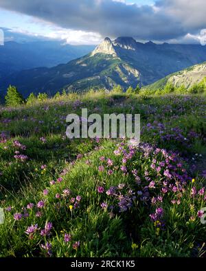 Landschaft rund um die Col of Allos in den Alpes, Frankreich. Stockfoto