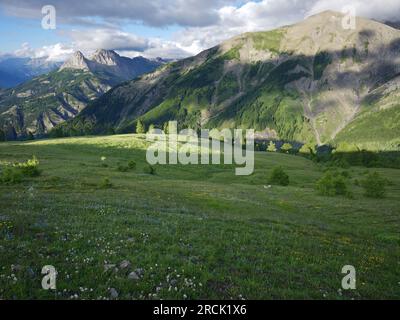 Landschaft rund um die Col of Allos in den Alpes, Frankreich. Stockfoto