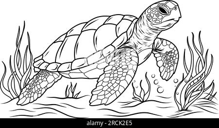 Große Meeresschildkröte, süße gestreifte Fische in der Unterwasserwelt mit Algen, Sand, Blasen auf weißem, isoliertem Hintergrund. Gut für Kinder und Erwachsene Farbtöne Stock Vektor
