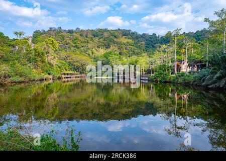 Der See im offenen Zoo von khao kheow Stockfoto