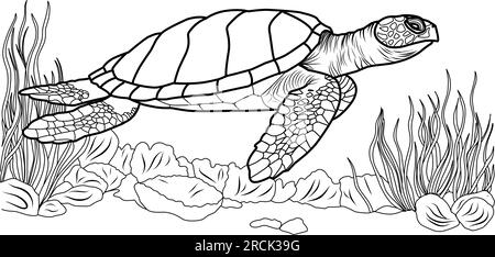 Große Meeresschildkröte, süße gestreifte Fische in der Unterwasserwelt mit Algen, Sand, Blasen auf weißem, isoliertem Hintergrund. Gut für Kinder und Erwachsene Farbtöne Stock Vektor