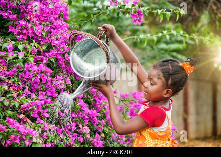 Kleines afrikanisches Mädchen mit Zöpfen und einer Gießkanne, das sich selbst beibringt, wie man sich um die Blumen im Garten kümmert Stockfoto