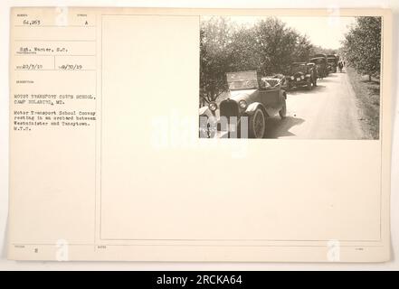 SCHULE DES TRANSPORTKORPS, CAMP HOLABIRD, MD. Der Konvoi der Verkehrsschule macht eine Pause in einem Obstgarten zwischen Taneytown und Westminster. Der Konvoi ist mit dem M.T.C.-Symbol markiert und hat die Nummer 64.263, Sergeant Warner, S.C. Der Fotograf hat diesen Moment am 10./3./1919. Aufgenommen. Stockfoto