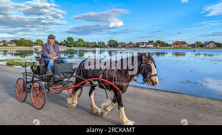 Bosham Harbour und das Dorf, das Meer und die Sonnenuntergänge reflektieren den großen Himmelspferd-Reisenden Stockfoto