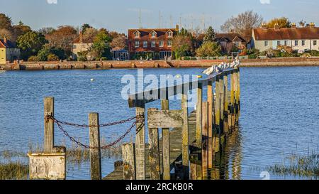 Bosham Hafen und Dorfmeer Sonnenuntergang Reflexionen Tag auf großen Möwen-Himmelsbooten Stockfoto